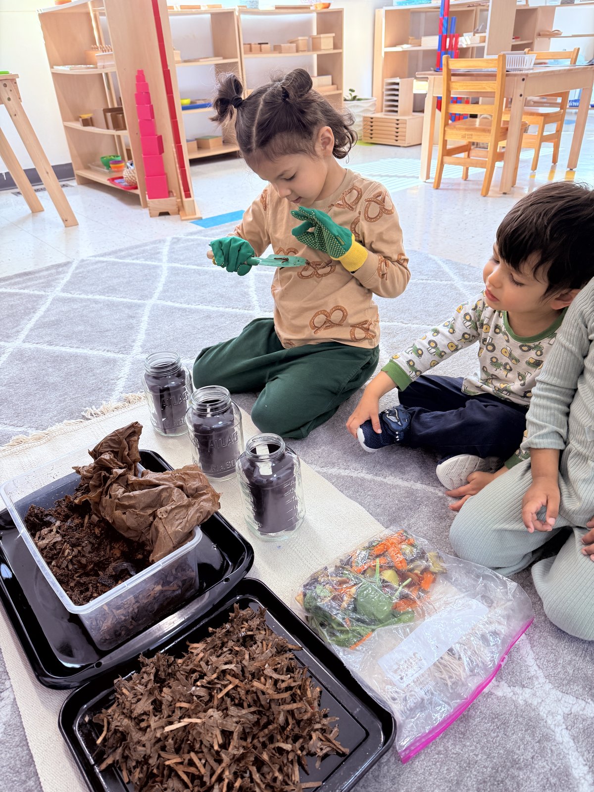 Child exploring Montessori botany materials with curiosity